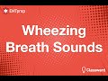 Understanding Wheezing and Its Causes