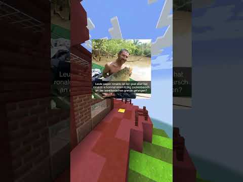 Memes part 209 #memes #shorts  #lustig #minecraft
