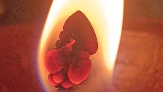 Message from Shivshakti ❤️ Tarot ❤️ Timeless ❤️ 💯🧚🌈🪶❤️#god #tarot #tarotreading