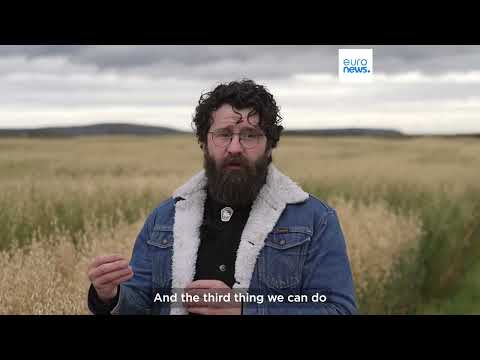 YouTube video thumbnail: Nordic Oats, an Orphan Crop Taking Root Once Again