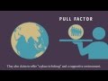 Understanding Violent Extremism