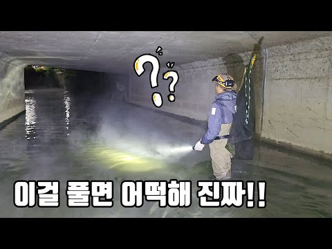 이건 솔직히 선넘은거 아닌가요? 구피천에 이거 풀면 사고납니다 진짜...