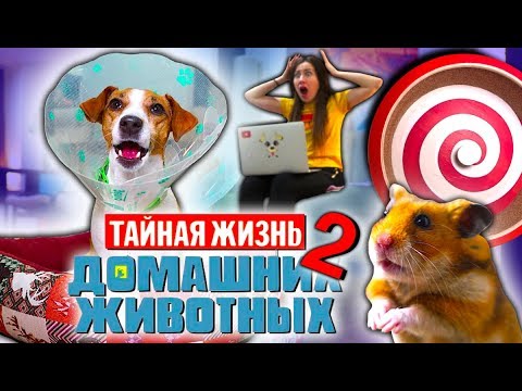 НОВАЯ ТАЙНАЯ ЖИЗНЬ Домашних Животных 2 Собака Джина и Хомяк Эдди | Elli Di Pets