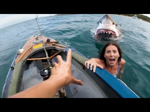 100 Moments When Sharks Went Out of Control