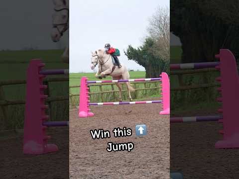Jumping ace 1.45m #horse #showjumping #horselover #horseriding #horseriding #equestrian #pony