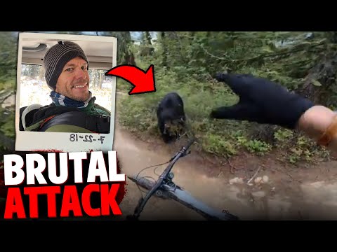 These 3 People Were BRUTALLY Attacked By Savage Bear!