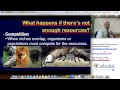 Ecosystem Roles and Relationships