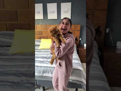 ESPONJITA ESPONJITA 😻