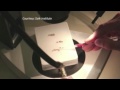Genetic Research Using Fruit Flies