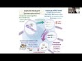 Protein Synthesis and Gene Regulation