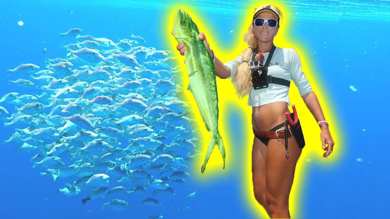 Offshore Mahi Fishing! We Found a Giant Underwater BAIT BALL
