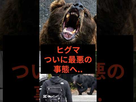 クマ、最悪の事態へ… #猟友会 #クマ #ヒグマ