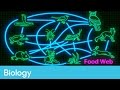 Food Chains and Ecosystem Dynamics
