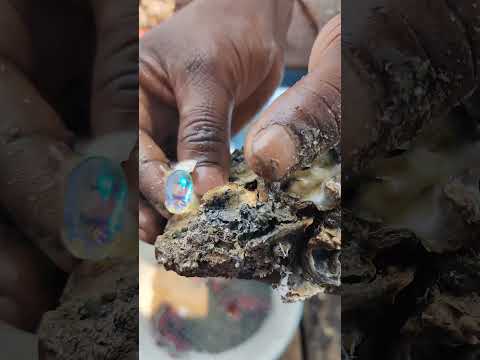 How Local's cheat tourist in Chilika lake, by so called 'opal' gem #fraud #chilka #opal #fraudsters