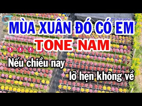 Karaoke Mùa Xuân Đó Có Em Tone Nam ( Dm ) Beat Mới Nhạc Xuân 2025 Mới Nhất || Karaoke Đồng Sen