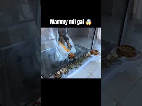 mammy mile gai 🤯 #souravjoshivlogs #piyushjoshivlogs #trending #viral