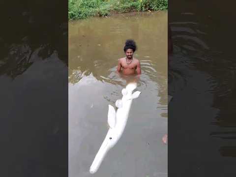 the most beautiful albino alligator gar made by waste wood 🐊🐊 G J MOWGLI