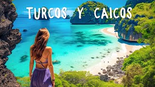 [2025] Avicii, Dua Lipa, Coldplay, Martin Garrix & Kygo, The Chainsmokers Style - Turcos y Caicos