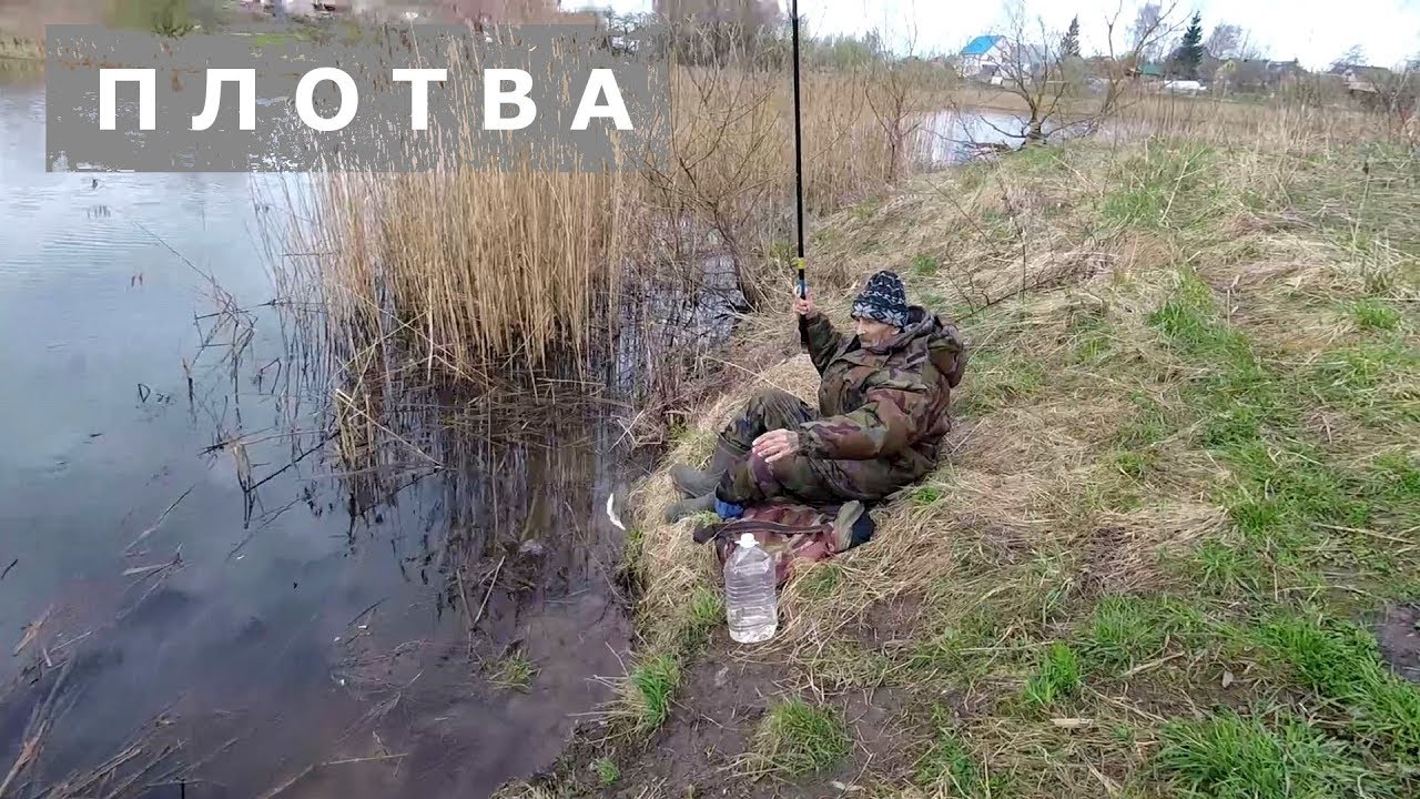Кого ловить? Одна плотва)Рыбалка с матёрым дедом