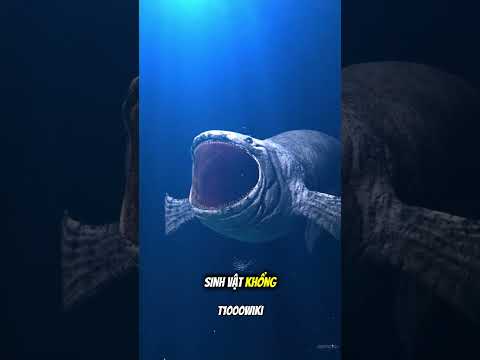 Top 3 Sinh Vật Biển Huyền Thoại Có Thể Khiến Bạn Rùng Mình 😱🤯