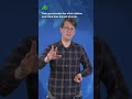 Understanding Coffee Plant Defenses and Coffee Berry Borer Bugs