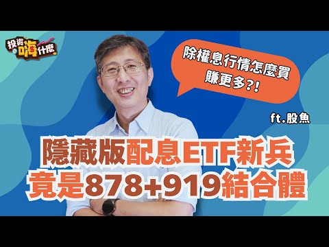 這檔「隱藏版配息ETF新兵」被說是878月配版外，竟還藏919選股邏輯！想賺除權息行情怎麼買賺更多？！這樣買才有節稅效果！【股魚嗨什麼】EP136 ft.股魚《投資嗨什麼》
