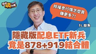 這檔「隱藏版配息ETF新兵」被說是878月配版外，竟還藏919選股邏輯！想賺除權息行情怎麼買賺更多？！這樣買才有節稅效果！【股魚嗨什麼】EP136 ft.股魚《投資嗨什麼》
