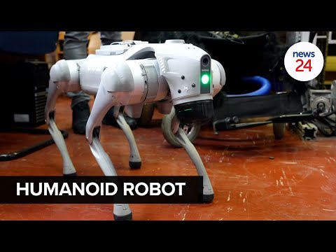 WATCH | Meet TUT's new Humanoid robot - that could give disabled people more access to AI