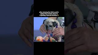 2026 World's Ugliest Dog
