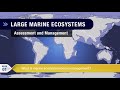 Ocean Ecosystem Management Challenges