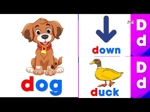 Toddler Learning Video, letter d - Alphabet for kids | ABC Kids