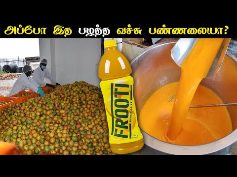 Mango Frooti இப்படித்தான் தயாரிக்கப்படுகிறது | Manufacturing Process Of Frooti | Fact Force Tamil