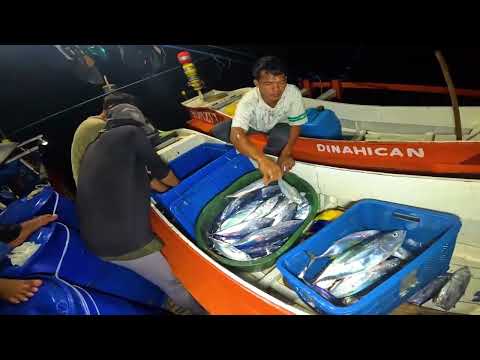 P39 - KALAHATI NA AGAD ANG PANGALAWANG BODEGA