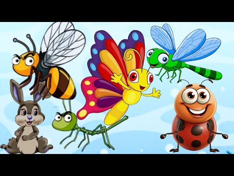 Learn Names of Insects | Learn Bugs | Kids Video | Best Learning Video | Insects around us