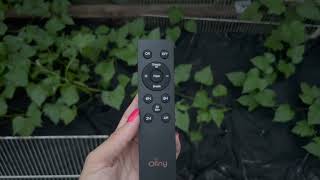 OLLNY STRING LIGHTS REVIEW