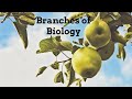 Biology Concepts and Applications
