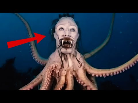 Top 5 Most Amazing Animals in the World‼️🐾🌍