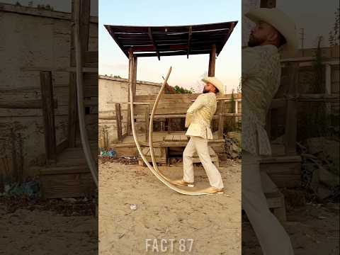 😱unbelievable biggest shoe|#shortvideo