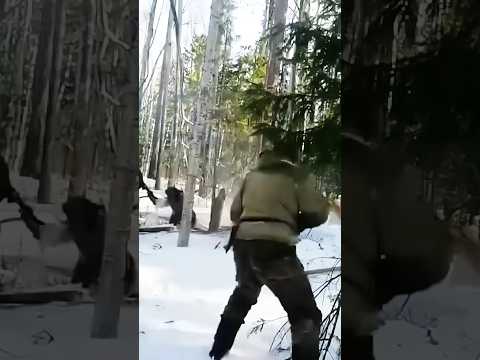 Black Bear attack 😱#chasse #closecall #bowhunting