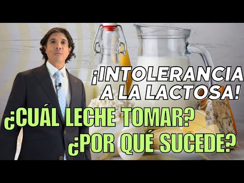 ¿Qué leche tomar y qué productos derivados puedes consumir? - INTOLERANCIA A LA LACTOSA