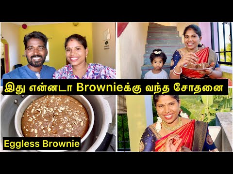 இது என்னடா brownie க்கு வந்த சோதனை | Sangeetha Vinoth | #tamilvlog