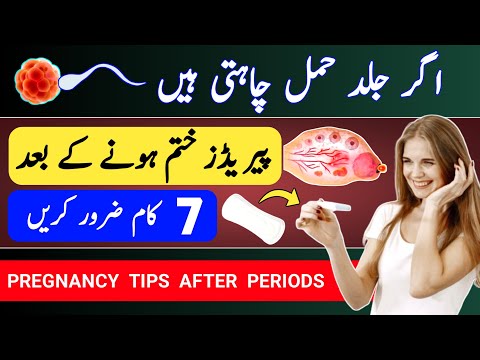 7 Tips To Get Pregnant Fast After Periods |Best food For Periods & egg rupture |Fertility Diet