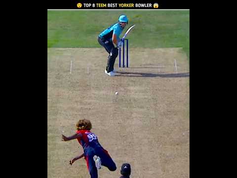 Top 8 Teem Best Yorker Bowler 😱 #shorts #shortvideo #cricket