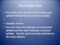 Understanding Poetry Metrics