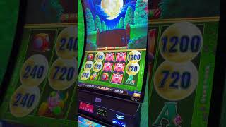 That's The NUMBER We Wanted! #casino #slots #jackpotjudo #gambling #jackpot