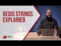 Redis Strings and Commands