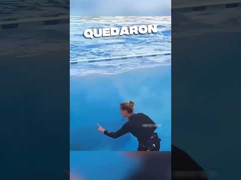 Esta chica y su orca le dieron una sorpresa al público ❤️ #shorts