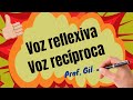 Understanding Reflexive and Reciprocal Voices in Portuguese