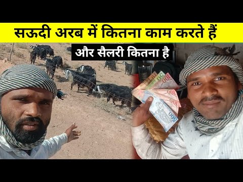 देखिए सऊदी अरब में कितना काम करता हूं और कितना सैलरी मिलता है | chandan good info | chandan k |