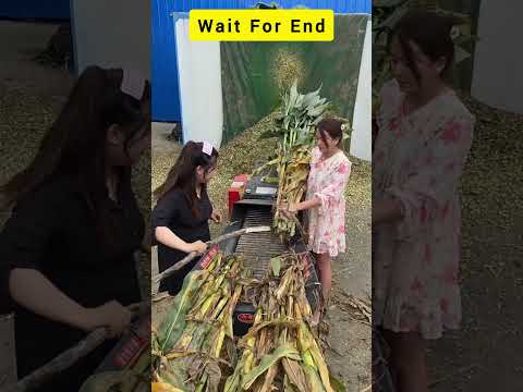Powerfull high technology fodder cutter viral machine👌🫢!#shorts #trendingshorts #viralvideo